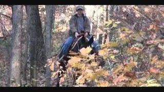 MMCO the Best in Gaited Mules: Missouri Mule Co