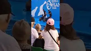 penquen dance