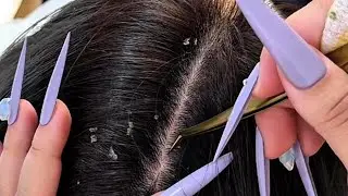 Soft Scalp Care ASMR with Delicate Tool Sounds | No Talking | September