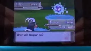2 Shiny Gastly While Chaining in Eterna Forest!!