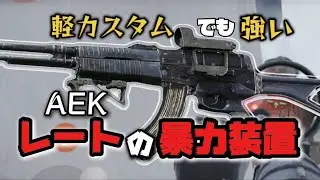 【AEK】値段相応が1番似合わない子だこと【アリブレ/Arena Breakout】