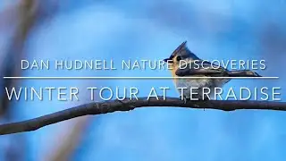 Nature Discoveries 116: Dan Hudnell Bird Tour At Terradise #nature #wildlife #birds