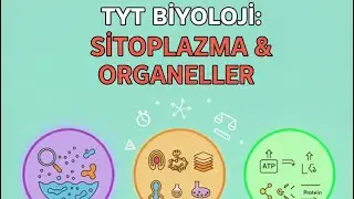 TYT Biyoloji: Sitoplazma & Organeller Genel &Ouml;zet