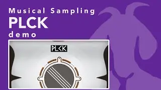 MUSICAL SAMPLING - PLCK (demo)
