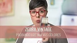 ✏️ZEBRA VINTAGE | Los bolis MÁS BONITOS de ZEBRA | Papelería JAPONESA