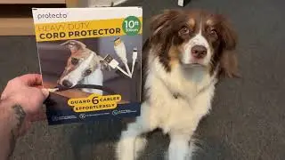 Heavy-Duty Cord Protector Review | Stop Pet Chewing & Organize Cable Easily 🐾 | Dan Tinkler & Daphne