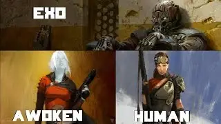 What's Destiny's Most Popular Race?