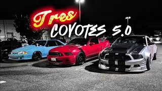 3 Mustangs Coyote 5.0 / Primer Salida del A&ntilde;o 2026 en el Mustang
