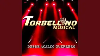 Pura Polka