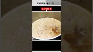 ☕PROCESS OF MAKING MILK TEA☕ | #shorts #cookingshortsvideo