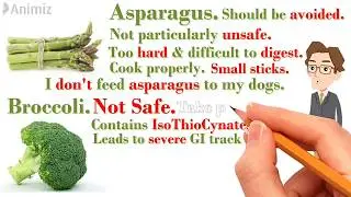 Top 10 best vegetables for dogs. Top 5 toxic vegetables unsafe for dogs.