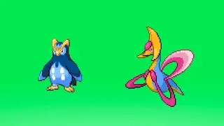 Awesomest Prinplup Fusions