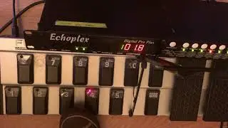 Rehearse (and Zero Feedback) on the Echoplex Digital Pro