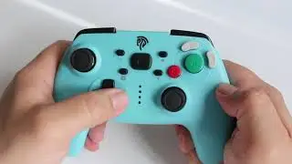 Контроллер GameCube Style Pro