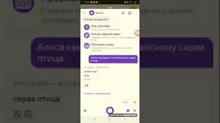 Праверяем как по китайскому серая,серые,серая птица
