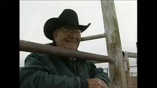 Bogle Ltd 1999 AQHA Best Remuda Winner