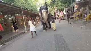 MEENAKSHI AMMAN TEMPLE _MADHRAI