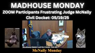 Zoom Participants Frustrating Judge McNally on a Madhouse Monday - Civil Docket 05/19/25