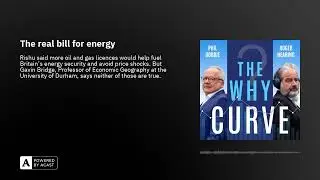 The real bill for energy