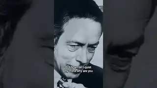The Quest for Peace of Mind - Alan Watts