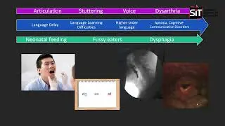 Speech Therapy - A Career That&rsquo;s Beyond Words