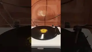 Ion Pure LP