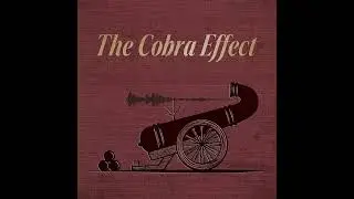 Episode 01 - What is the Cobra Effect... and a Brazilian Polka?