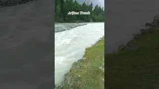 Beautiful River Naltar Gilgit 💖 Arifana Travels #youtubeshorts #shortvideo #shorts #travelshorts