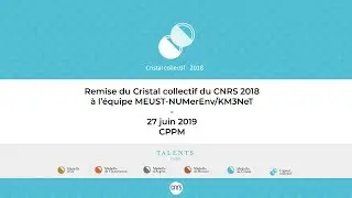 Cristal collectif du CNRS 2018 attribu&eacute; &agrave; l'&eacute;quipe MEUST-NUMerEnv/KM3NeT du CPPM