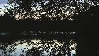Best ever sounds Creative Commons Insect and Loon Sounds on a quiet lake at night.