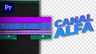 Como EXPORTAR con FONDO TRANSPARENTE | Premiere Pro Tutorial