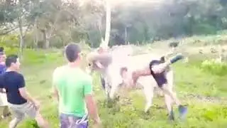 Trying To Jump A Bull - EPIC FAIL!