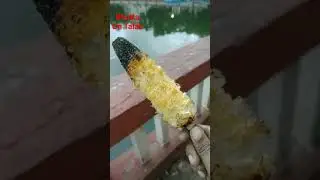 Sent Gamkauwa || #shortsvideo #youtubeshorts #diet #viral #new #shortsvideo || Chandan Gpp || #gym |