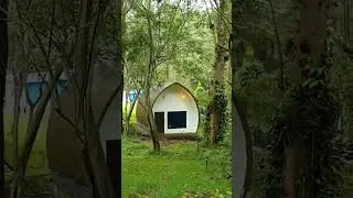 சேலம் ஏற்காடு budget resort 2500 3 time non veg food unlimited  | Couples  | Booking : 7806909596