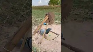 Beautiful Unique Creative Bird Trap #shorts