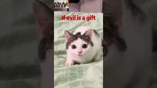 Cat&rsquo;s Epic Toy Destruction! ?? #cat #cute #funny #shorts #fypシ #catlover #funnycats #pet