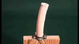 Colobot- a soft continuum robot