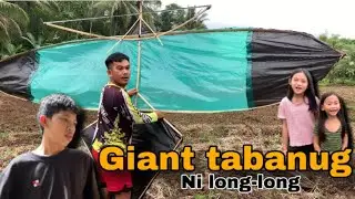 Giant tabanug ni long-long