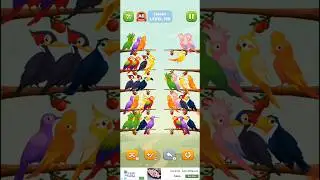 Bird sort puzzle walkthrough #viral #shorts #trending #short #birds