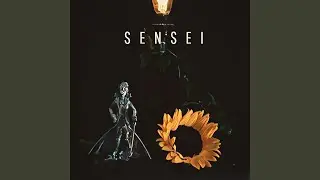 Sensei
