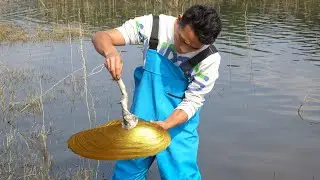 🎁 Pearls Beyond Price: The Day a River Clam Swallowed a Girl’s Dreams—and Spit Out Gold