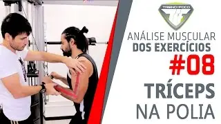 Tríceps na Polia Alta - Análise Muscular dos Exercícios #8