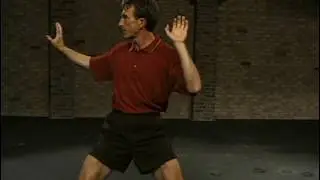 Five Animal Frolics - Bear & Tiger (Power)