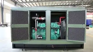 Natural gas CNG LNG, LPG, biogas, syngas generator set