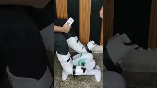 Hospital Physiotherapy Pedo Rotation Cycle for Controlled Limb Movement