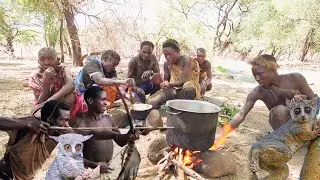 ORIGINAL AFRICAN HUNTER!S BUSH LIFESTYLE HOW HADZABE TRIBE SURVIVE IN THE WILD