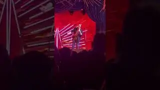 will wood (doesn&rsquo;t) hate his fans