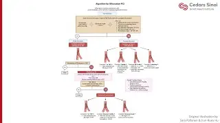 Visual Guide to Bifurcation PCI