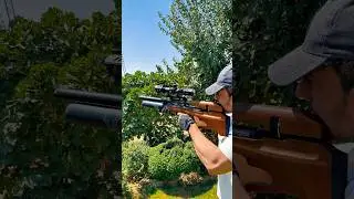 P35X TB AiR Rifle #pcphunters #airgun