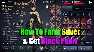 Black Desert Mobile How to Farm Silver & Get Black Pearl